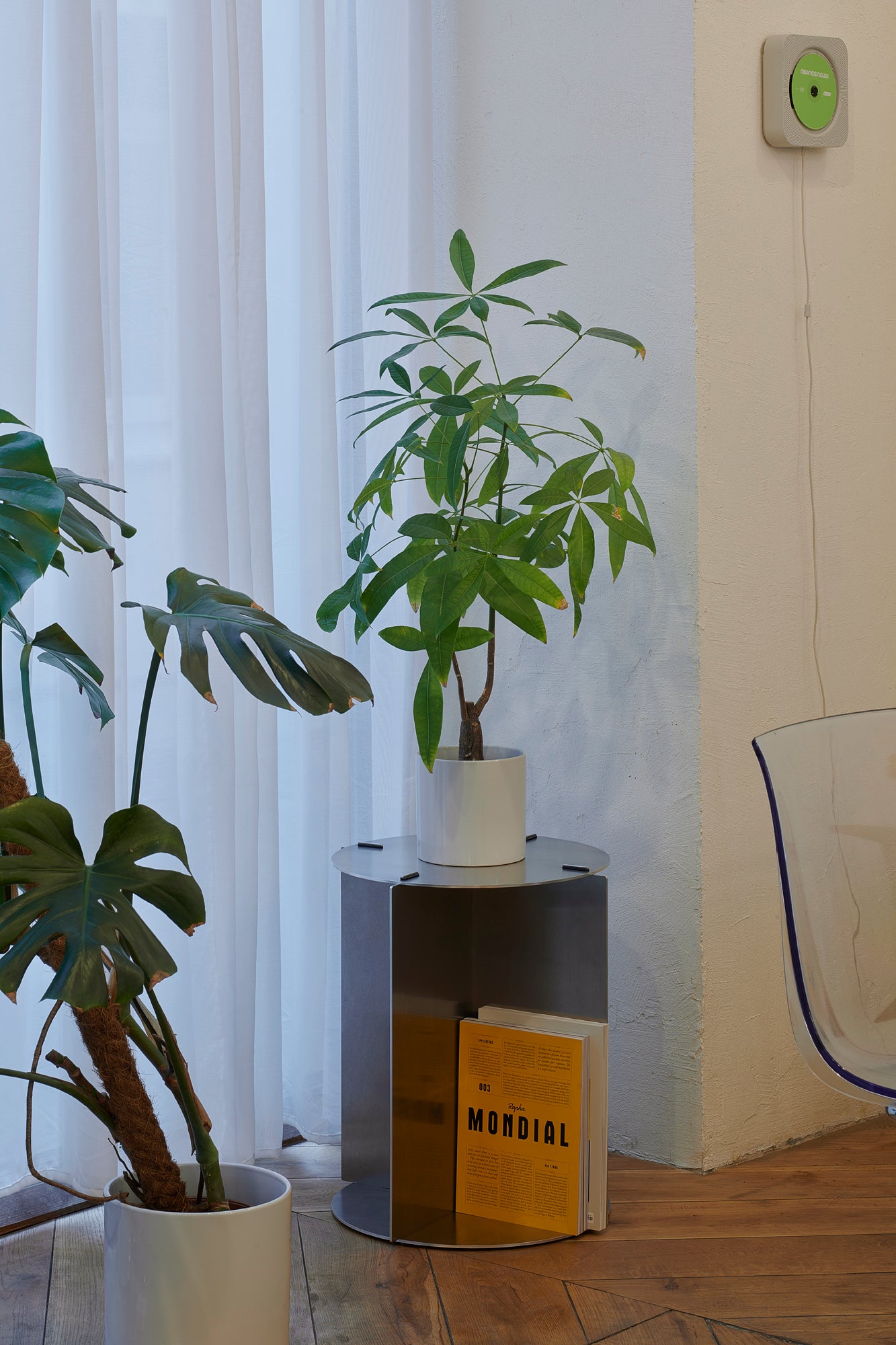 Indoor plants on a small table with a white curtain in the background